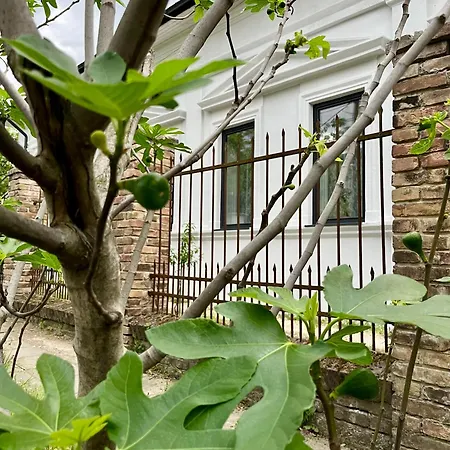 Guest house Wagner 902 With Free Private Parking