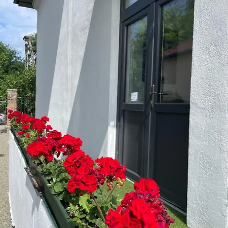 Wagner 902 With Free Private Parking Guest house *