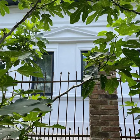 Wagner 902 With Free Private Parking Penzion 4*