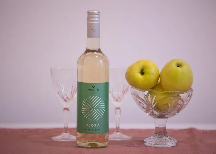 Wagner 902 With Free Private Parking Pensiune Budapesta