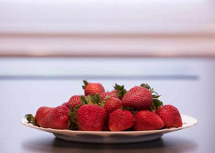 Wagner 902 With Free Private Parking 4* Budapesta