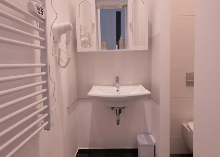 Wagner 902 With Free Private Parking Pensiune Budapesta