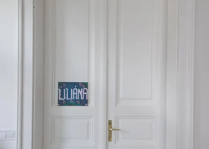 Wagner 902 With Free Private Parking Pensiune