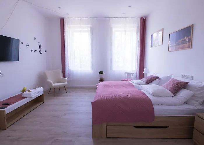 Wagner 902 With Free Private Parking Budapesta