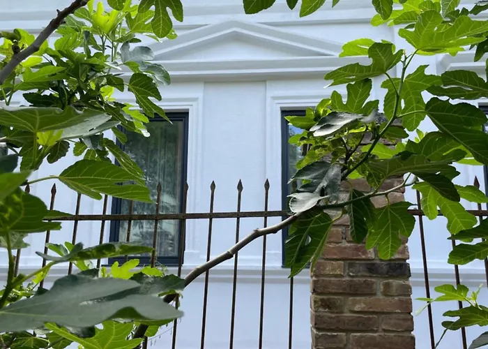 Wagner 902 With Free Private Parking Pensiune 4*